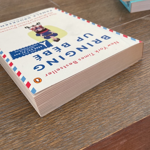 2nd hand Parenting books|What to expect& Baby owner’s manual& Bring up bebe - Picture 10 of 12